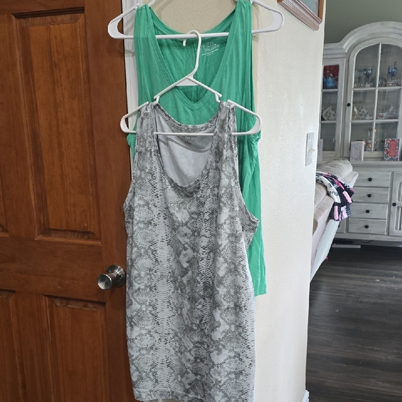 Time and Tru Tops - Bundle Of 2Time &Tru & New Directions Green And Gray/white Sleeveless Tank Top